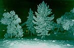 Ну вот и опять ночь - часов 5 дня... Пора готовится к встрече нового года и Деда Мороза, который живет где-то далеко на юге, в середине Финляндии. Ну а если повезет, в Лапландии можно увидеть и северное сияние.