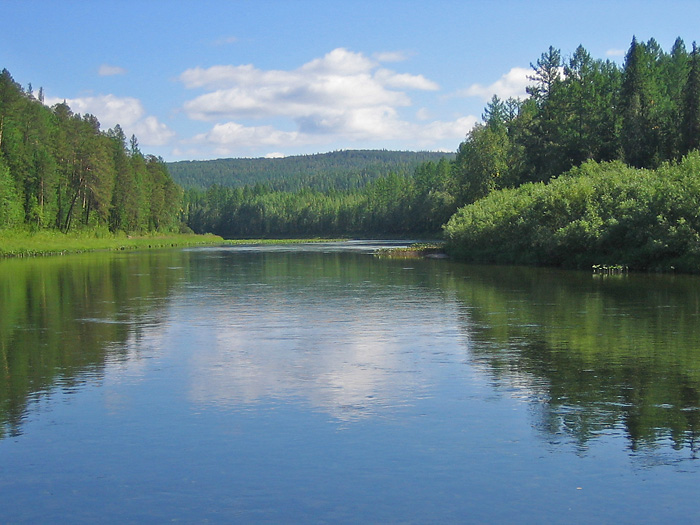 Swan's River - tributary of Podkamennaya Tunguska