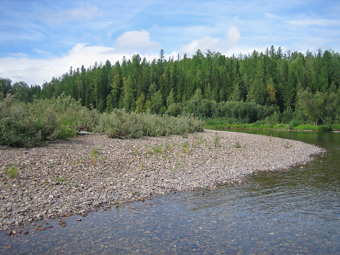 Swan's River - tributary of Podkamennaya Tunguska